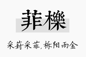 菲栎名字的寓意及含义