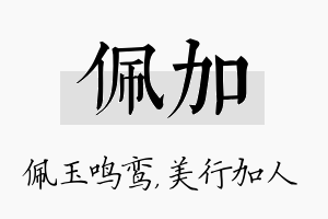 佩加名字的寓意及含义