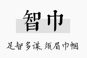 智巾名字的寓意及含义