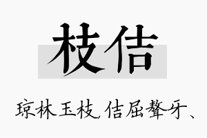 枝佶名字的寓意及含义