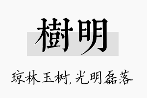 树明名字的寓意及含义