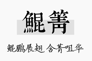 鲲箐名字的寓意及含义