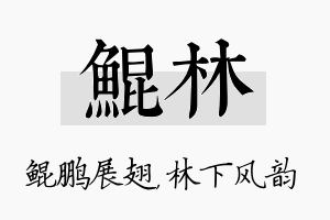 鲲林名字的寓意及含义