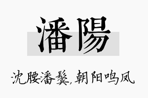 潘阳名字的寓意及含义