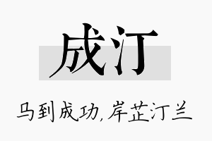 成汀名字的寓意及含义