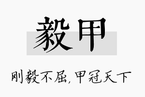 毅甲名字的寓意及含义