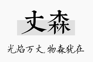 丈森名字的寓意及含义