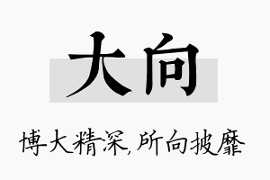 大向名字的寓意及含义