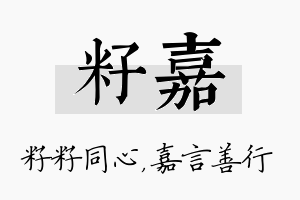 籽嘉名字的寓意及含义