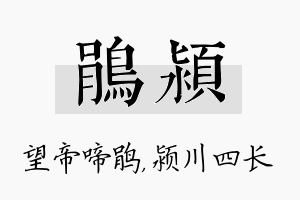 鹃颍名字的寓意及含义