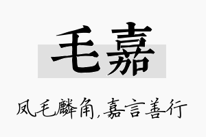 毛嘉名字的寓意及含义