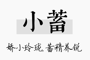 小蓄名字的寓意及含义