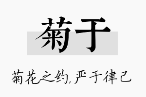 菊于名字的寓意及含义