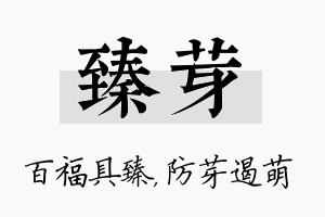 臻芽名字的寓意及含义