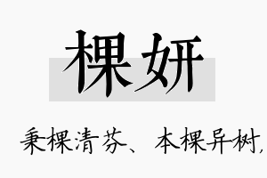 棵妍名字的寓意及含义