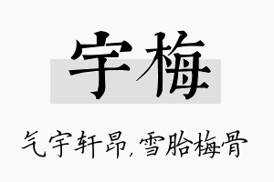 宇梅名字的寓意及含义