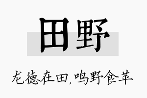 田野名字的寓意及含义