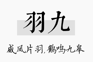 羽九名字的寓意及含义