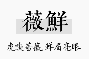 薇鲜名字的寓意及含义