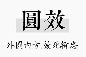 圆效名字的寓意及含义