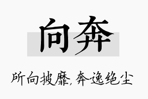 向奔名字的寓意及含义