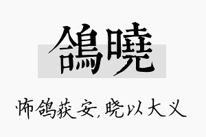 鸽晓名字的寓意及含义