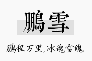 鹏雪名字的寓意及含义