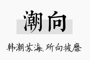 潮向名字的寓意及含义