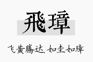 飞璋名字的寓意及含义