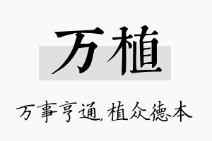 万植名字的寓意及含义