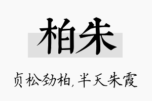 柏朱名字的寓意及含义