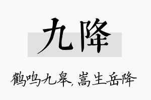 九降名字的寓意及含义