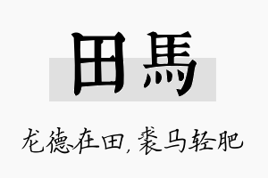 田马名字的寓意及含义