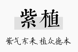 紫植名字的寓意及含义