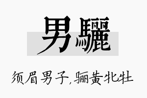 男骊名字的寓意及含义