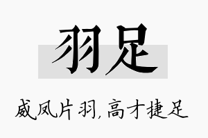 羽足名字的寓意及含义