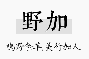 野加名字的寓意及含义