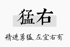 猛右名字的寓意及含义