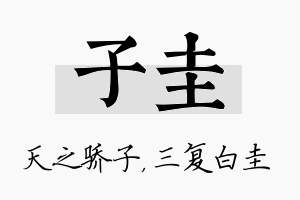 子圭名字的寓意及含义