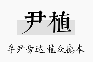 尹植名字的寓意及含义