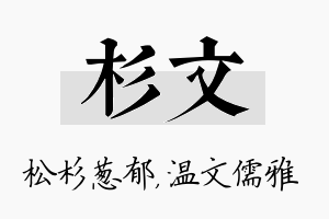 杉文名字的寓意及含义