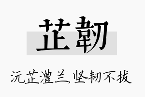 芷韧名字的寓意及含义