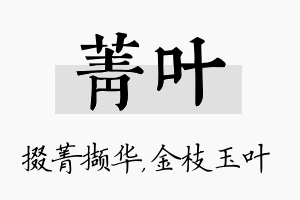 菁叶名字的寓意及含义