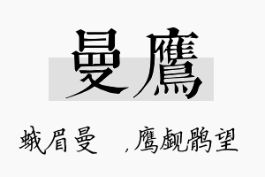 曼鹰名字的寓意及含义