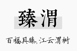 臻渭名字的寓意及含义