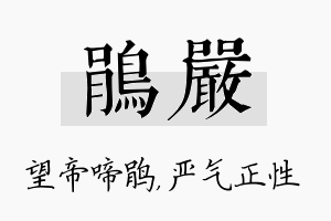 鹃严名字的寓意及含义