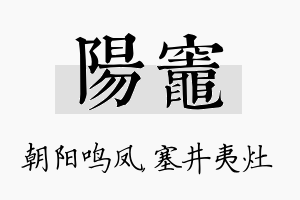 阳灶名字的寓意及含义