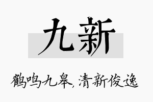 九新名字的寓意及含义