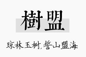 树盟名字的寓意及含义