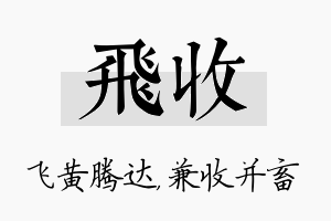 飞收名字的寓意及含义